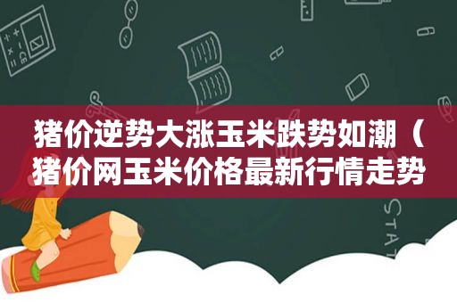 猪价逆势大涨玉米跌势如潮（猪价网玉米价格最新行情走势分析）