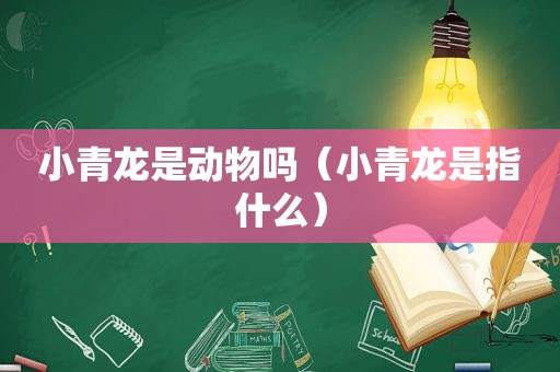小青龙是动物吗（小青龙是指什么）