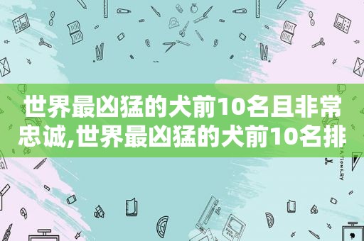 世界最凶猛的犬前10名且非常忠诚,世界最凶猛的犬前10名排名