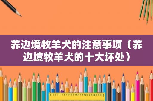 养边境牧羊犬的注意事项（养边境牧羊犬的十大坏处）