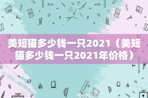 美短猫多少钱一只2021（美短猫多少钱一只2021年价格）