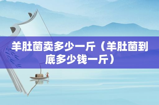 羊肚菌卖多少一斤（羊肚菌到底多少钱一斤）