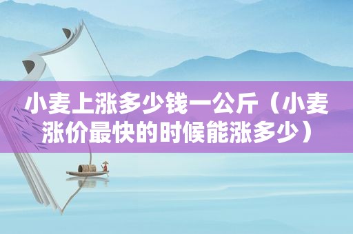 小麦上涨多少钱一公斤（小麦涨价最快的时候能涨多少）