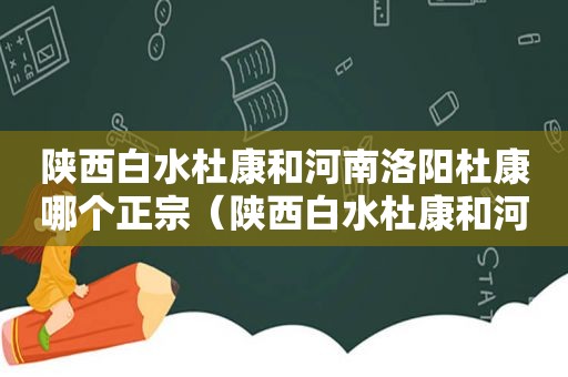 陕西白水杜康和河南洛阳杜康哪个正宗（陕西白水杜康和河南洛阳杜康控股那个酒好喝）