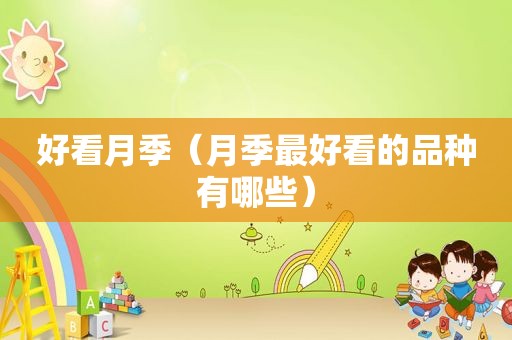 好看月季（月季最好看的品种有哪些）