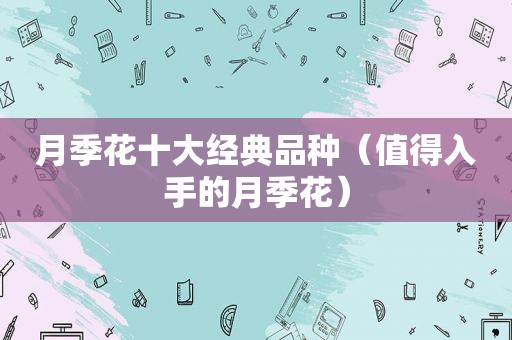 月季花十大经典品种（值得入手的月季花）