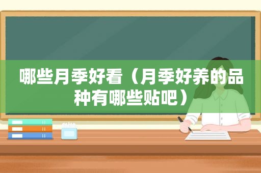 哪些月季好看（月季好养的品种有哪些贴吧）