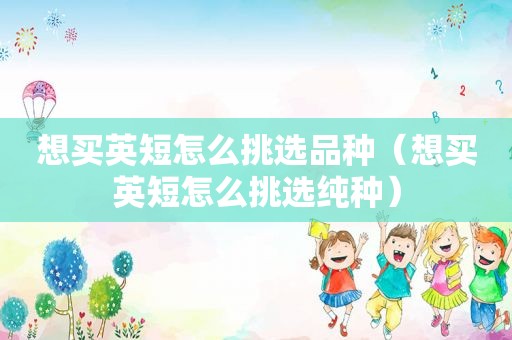 想买英短怎么挑选品种（想买英短怎么挑选纯种）