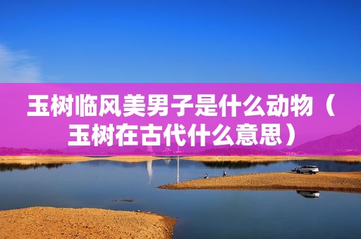 玉树临风美男子是什么动物（玉树在古代什么意思）
