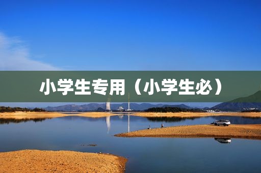 小学生专用（小学生必）