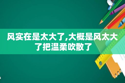 风实在是太大了,大概是风太大了把温柔吹散了