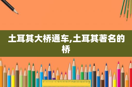 土耳其大桥通车,土耳其著名的桥