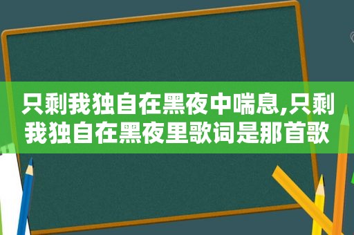 只剩我独自在黑夜中喘息,只剩我独自在黑夜里歌词是那首歌