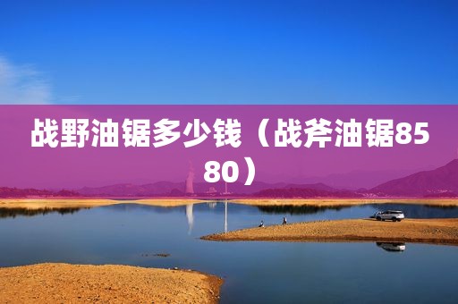 战野油锯多少钱（战斧油锯8580）