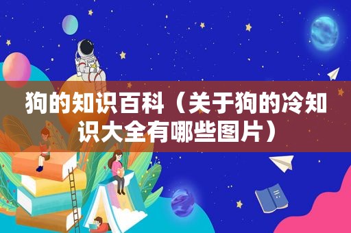 狗的知识百科（关于狗的冷知识大全有哪些图片）