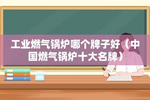 工业燃气锅炉哪个牌子好（中国燃气锅炉十大名牌）