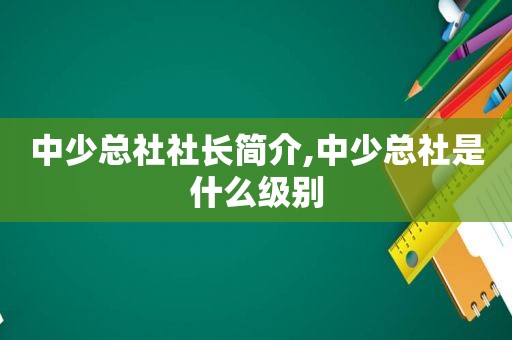 中少总社社长简介,中少总社是什么级别