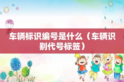 车辆标识编号是什么（车辆识别代号标签）