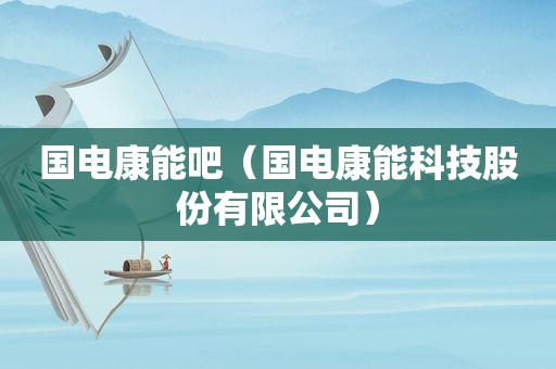 国电康能吧（国电康能科技股份有限公司）