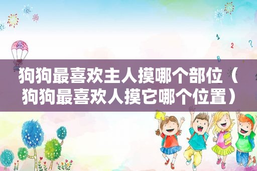 狗狗最喜欢主人摸哪个部位（狗狗最喜欢人摸它哪个位置）