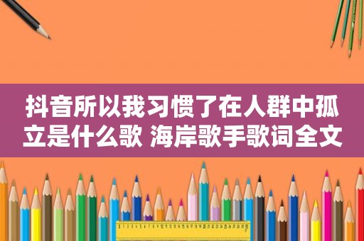 抖音所以我习惯了在人群中孤立是什么歌 海岸歌手歌词全文