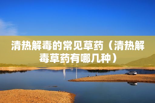 清热解毒的常见草药（清热解毒草药有哪几种）