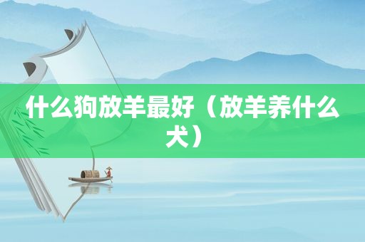 什么狗放羊最好（放羊养什么犬）