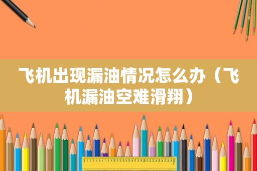 飞机出现漏油情况怎么办（飞机漏油空难滑翔）