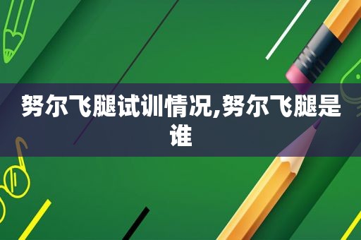 努尔飞腿试训情况,努尔飞腿是谁