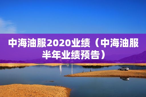 中海油服2020业绩（中海油服半年业绩预告）