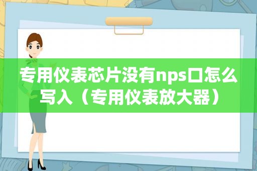 专用仪表芯片没有nps口怎么写入（专用仪表放大器）