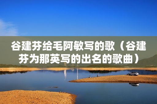 谷建芬给毛阿敏写的歌（谷建芬为那英写的出名的歌曲）
