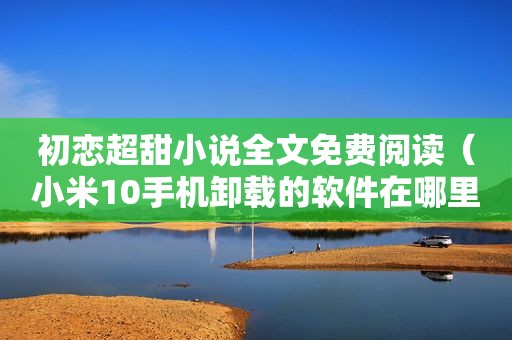 初恋超甜小说全文免费阅读（小米10手机卸载的软件在哪里可以找到）