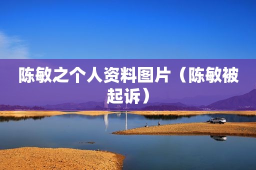 陈敏之个人资料图片（陈敏被起诉）