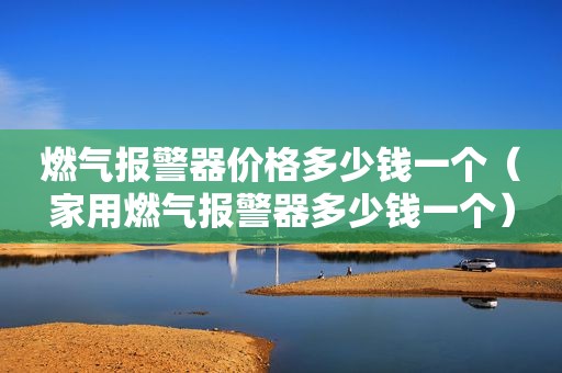燃气报警器价格多少钱一个（家用燃气报警器多少钱一个）