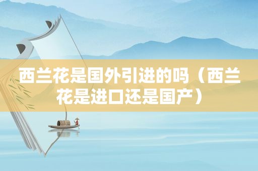 西兰花是国外引进的吗（西兰花是进口还是国产）