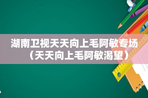 湖南卫视天天向上毛阿敏专场（天天向上毛阿敏渴望）