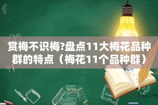 赏梅不识梅?盘点11大梅花品种群的特点（梅花11个品种群）