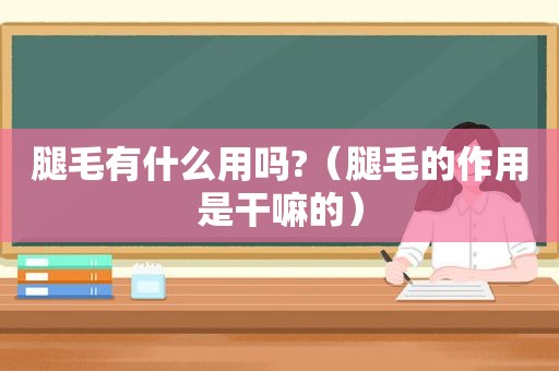 腿毛有什么用吗?（腿毛的作用是干嘛的）