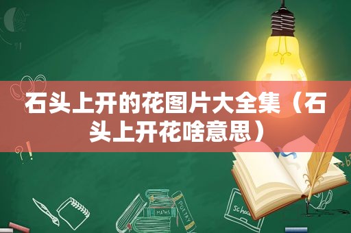 石头上开的花图片大全集（石头上开花啥意思）