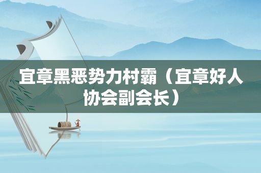 宜章黑恶势力村霸（宜章好人协会副会长）