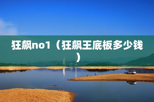 狂飙no1（狂飙王底板多少钱）