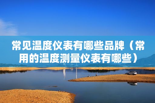 常见温度仪表有哪些品牌（常用的温度测量仪表有哪些）