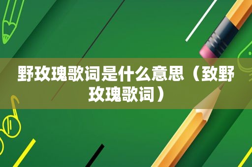 野玫瑰歌词是什么意思（致野玫瑰歌词）