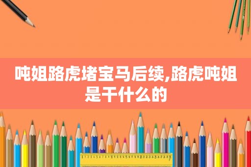 吨姐路虎堵宝马后续,路虎吨姐是干什么的