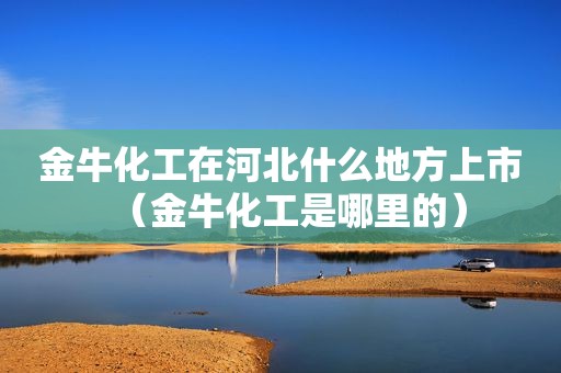 金牛化工在河北什么地方上市（金牛化工是哪里的）
