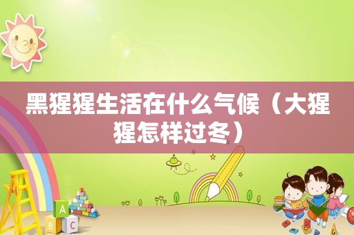 黑猩猩生活在什么气候（大猩猩怎样过冬）
