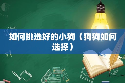 如何挑选好的小狗（狗狗如何选择）