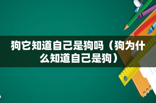 狗它知道自己是狗吗（狗为什么知道自己是狗）