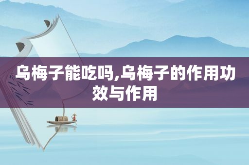 乌梅子能吃吗,乌梅子的作用功效与作用